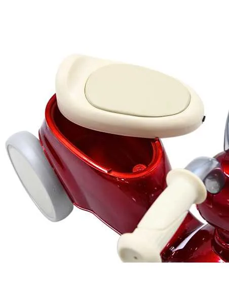 Montable Correpasillos para Niños con Luz y Sonido Coche Musical Apto a Partir de 1 año y Soporta hasta 16 kg | Joykoo Tienda Oficial