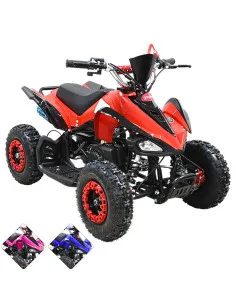 Cuatrimoto a Gasolina 49 cc 2T Arranque Manual Doble Freno de Disco Embrague Automático Carga Máx 50 kg Hasta 40 km/h Joykoo - 1