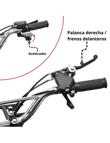 Cuatrimoto a Gasolina 49 cc 2T Arranque Manual Doble Freno de Disco Embrague Automático Carga Máx 50 kg Hasta 40 km/h | Joykoo Tienda Oficial