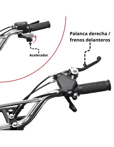 Cuatrimoto a Gasolina 49cc 2T Suspensión de Resorte Arranque Manual Freno de Disco Carga Máx 50 kg Hasta 40 km/h | Joykoo Tienda Oficial