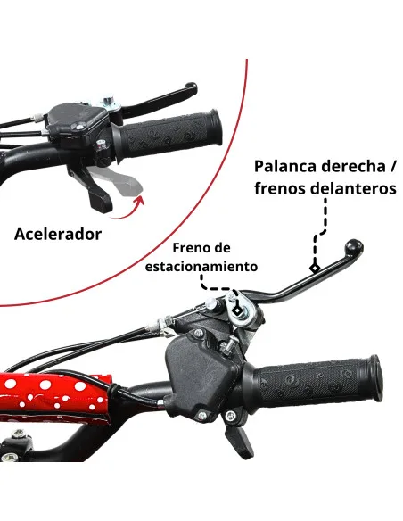 Cuatrimoto Montable ATV para Niños Motor a Gasolina 49cc Soporta Hasta 60kg Todo Terreno Frenos de Disco Suspensión 40km/h | Joykoo Tienda Oficial