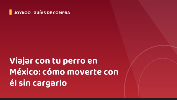 Viajar con tu perro en México: cómo moverte con él sin cargarlo